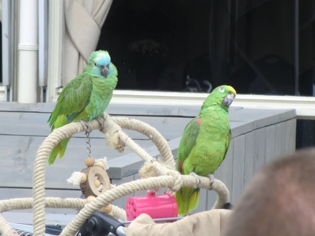 2011-09-04 Wantijpark